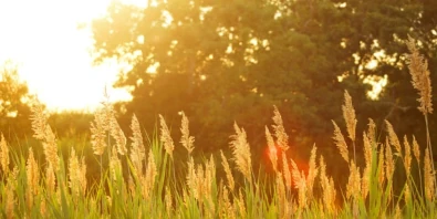Letní pneu Akčnípneu.cz